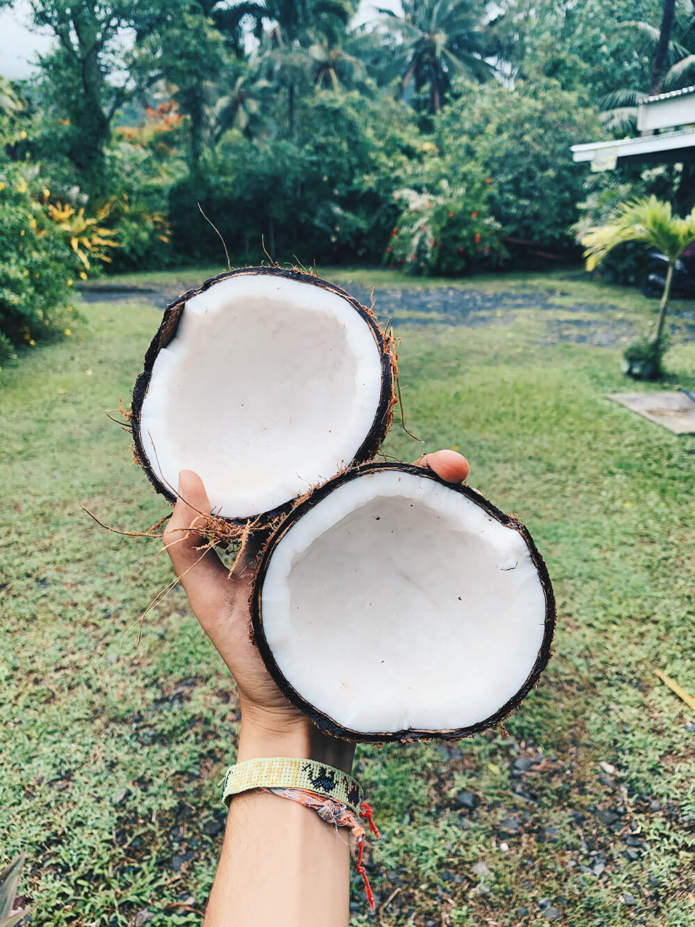 Fresh coconut from Rarotonga, Rarotonga travel guide