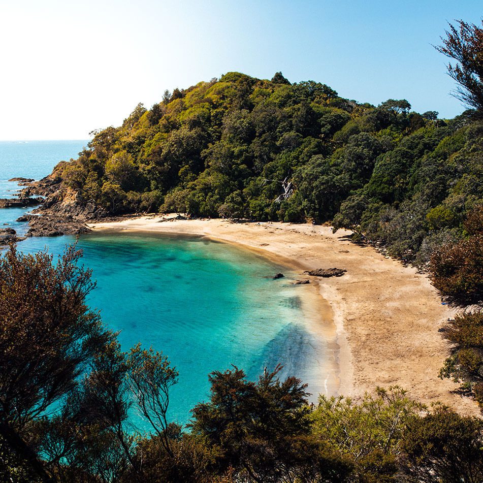 Matapouri beach walk