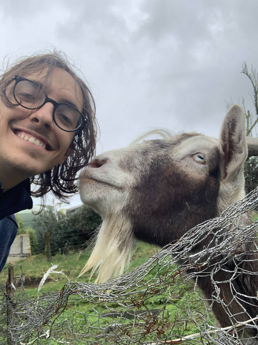 Goat friend in New Zealand