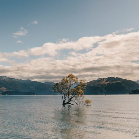10-places-you-have-to-visit-in-the-south-island-of-new-zealand-wanaka