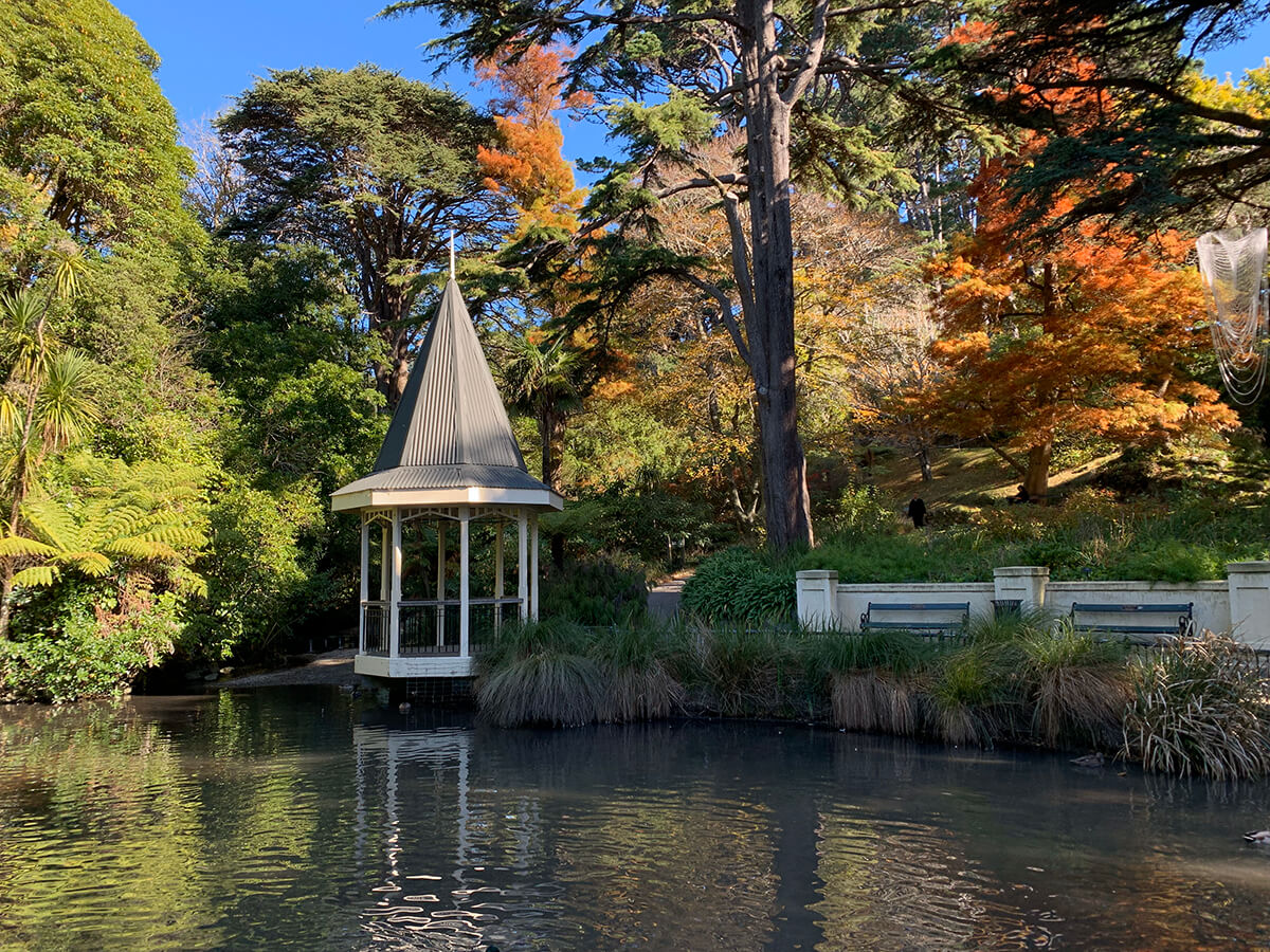 places-you-have-to-visit-in-the-north-island-of-new-zealand-wellington-botanical-gardens