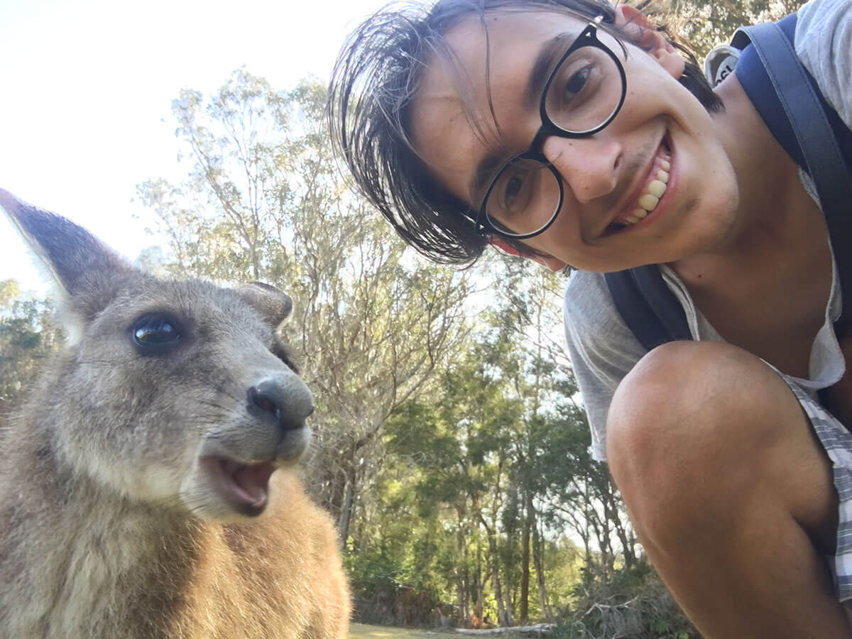 10-cose-da-sapere-sull-Australia-animali-australiani