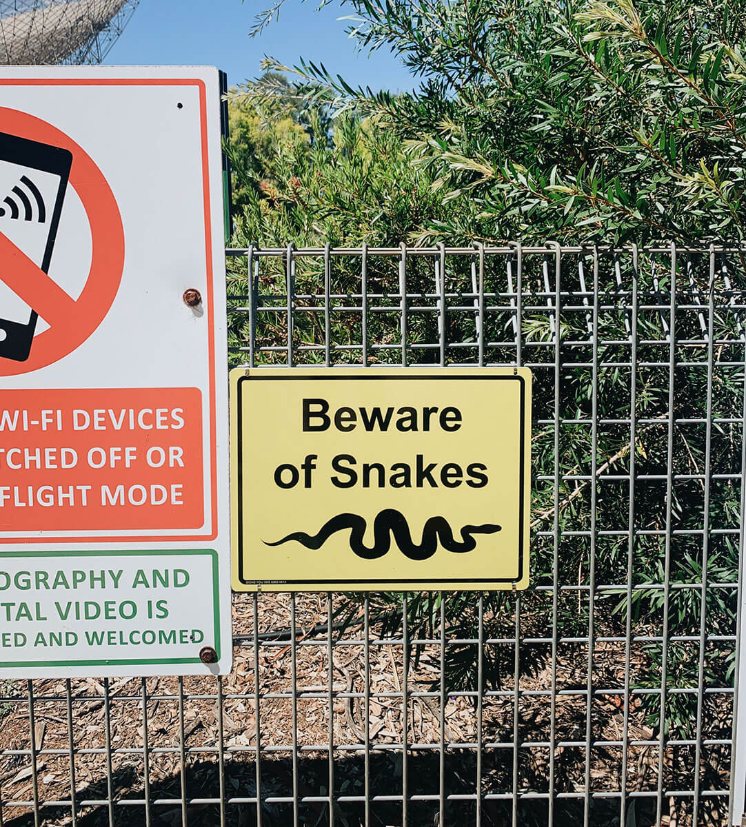 travel-guide-to-parkes snake warning at the dish